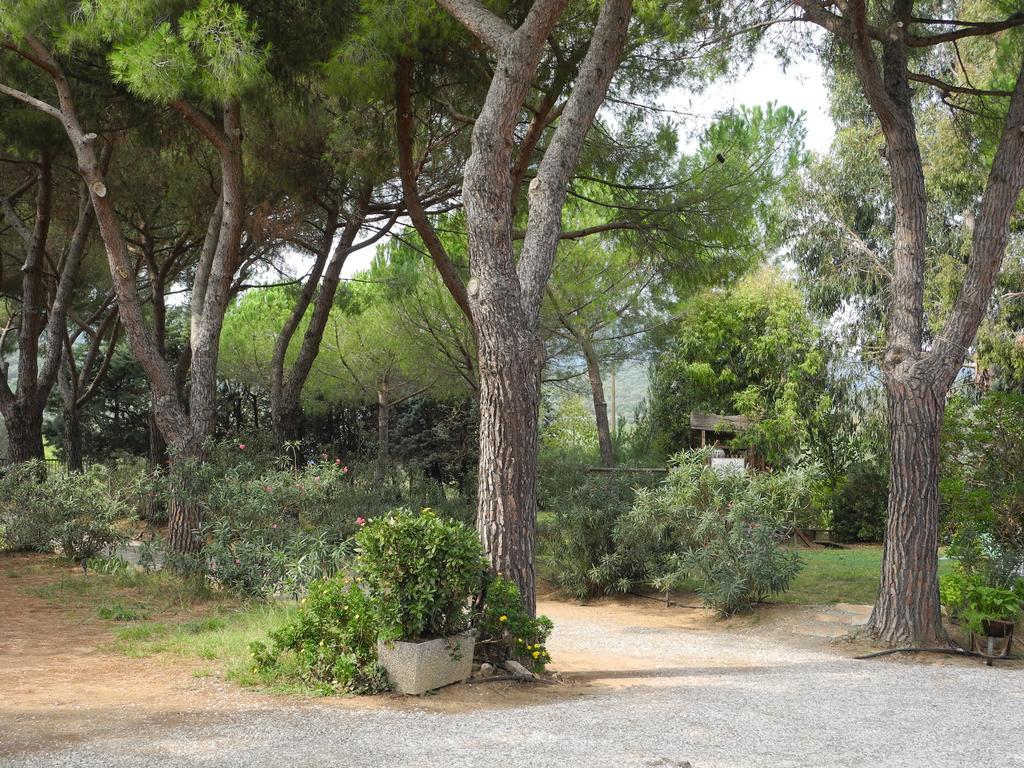 Podere Oslavia Az.Agr.Bio Giannini Alberese Buitenkant foto