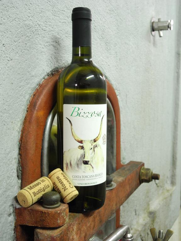 Podere Oslavia Az.Agr.Bio Giannini Alberese Buitenkant foto